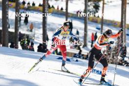 17.03.2024, Falun, Sweden (SWE): Katerina Janatova (CZE), Maja Dahlqvist (SWE), (l-r)  - FIS world cup cross-country, mass, Falun (SWE). www.nordicfocus.com. © Modica/NordicFocus. Every downloaded picture is fee-liable.