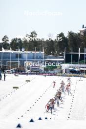17.03.2024, Falun, Sweden (SWE): Womens race headed by Kerttu Niskanen (FIN), Heidi Weng (NOR), Jessie Diggins (USA)- FIS world cup cross-country, mass, Falun (SWE). www.nordicfocus.com. © Modica/NordicFocus. Every downloaded picture is fee-liable.