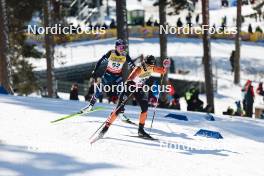 17.03.2024, Falun, Sweden (SWE): Katherine Sauerbrey (GER) - FIS world cup cross-country, mass, Falun (SWE). www.nordicfocus.com. © Modica/NordicFocus. Every downloaded picture is fee-liable.