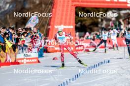 03.02.2024, Seefeld, Austria (AUT): Mario Seidl (AUT) - FIS world cup nordic combined men, individual gundersen HS109/10km, Seefeld (AUT). www.nordicfocus.com. © Modica/NordicFocus. Every downloaded picture is fee-liable.