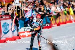 03.02.2024, Seefeld, Austria (AUT): Julian Schmid (GER) - FIS world cup nordic combined men, individual gundersen HS109/10km, Seefeld (AUT). www.nordicfocus.com. © Modica/NordicFocus. Every downloaded picture is fee-liable.