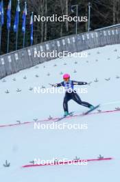 27.01.2024, Ljubno, Slovenia (SLO): Anna Twardosz (POL) - FIS world cup ski jumping women, individual HS94, Ljubno (SLO). www.nordicfocus.com. © Barbieri/NordicFocus. Every downloaded picture is fee-liable.