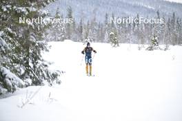 15.03.2024, Rena-Lillehammer, Norway (NOR): Morten Eide Pedersen (NOR) - training, Ski Classics Birkebeinerrennet,  Rena-Lillehammer (NOR). www.nordicfocus.com. © Reichert/NordicFocus. Every downloaded picture is fee-liable.
