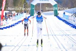 06.04.2024, Setermoen-Bardufoss, Norway (NOR): Truls Gisselmann (NOR) - Ski Classics Reistadlopet, Setermoen-Bardufoss (NOR). www.nordicfocus.com. © Reichert/NordicFocus. Every downloaded picture is fee-liable.