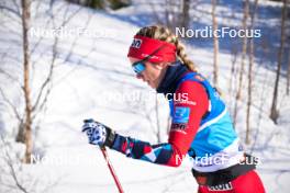 06.04.2024, Setermoen-Bardufoss, Norway (NOR): Ingrid Andrea Gulbrandsen (NOR) - Ski Classics Reistadlopet, Setermoen-Bardufoss (NOR). www.nordicfocus.com. © Reichert/NordicFocus. Every downloaded picture is fee-liable.