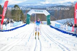 06.04.2024, Setermoen-Bardufoss, Norway (NOR): Magni Smedaas (NOR) - Ski Classics Reistadlopet, Setermoen-Bardufoss (NOR). www.nordicfocus.com. © Reichert/NordicFocus. Every downloaded picture is fee-liable.