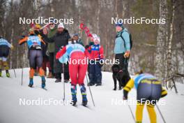 07.04.2024, Bardufoss-Finnsnes, Norway (NOR): Julie Kvale Stoestad (NOR), Ane Appelkvist Stenseth (NOR), (l-r) - Ski Classics Summit 2 Senja, Bardufoss-Finnsnes (NOR). www.nordicfocus.com. © Reichert/NordicFocus. Every downloaded picture is fee-liable.