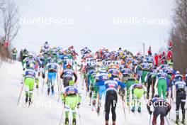 07.04.2024, Bardufoss-Finnsnes, Norway (NOR): Undefined athletes compete at the start - Ski Classics Summit 2 Senja, Bardufoss-Finnsnes (NOR). www.nordicfocus.com. © Reichert/NordicFocus. Every downloaded picture is fee-liable.