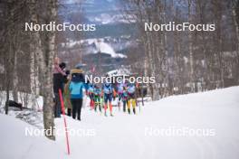 07.04.2024, Bardufoss-Finnsnes, Norway (NOR): Ida Palmberg (SWE) - Ski Classics Summit 2 Senja, Bardufoss-Finnsnes (NOR). www.nordicfocus.com. © Reichert/NordicFocus. Every downloaded picture is fee-liable.