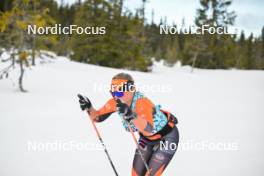 13.04.2024, Hafjell, Norway (NOR): Julia Angelsioeoe (SWE) - Ski Classics Grand Finale Janteloppet - Hafjell (NOR). www.nordicfocus.com. © Reichert/NordicFocus. Every downloaded picture is fee-liable.