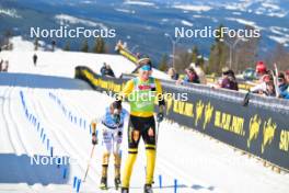 13.04.2024, Hafjell, Norway (NOR): Amund Hoel (NOR) - Ski Classics Grand Finale Janteloppet - Hafjell (NOR). www.nordicfocus.com. © Reichert/NordicFocus. Every downloaded picture is fee-liable.