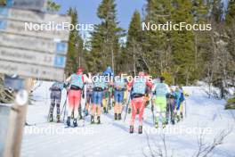 13.04.2024, Hafjell, Norway (NOR): Anja Stolpe (SWE), Nadine Faehndrich (SUI), Silje Theodorsen (NOR), Guro Jordheim (NOR), Heli Heiskanen (FIN), Karolina Grohova (CZE), (l-r) - Ski Classics Grand Finale Janteloppet - Hafjell (NOR). www.nordicfocus.com. © Reichert/NordicFocus. Every downloaded picture is fee-liable.